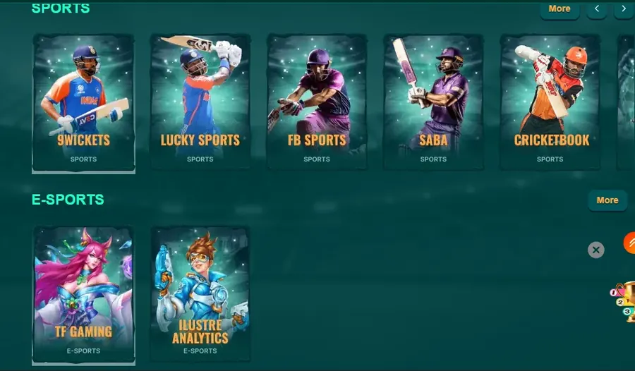 DK11 sports betting section with 9Wickets, Lucky Sports, FB Sports, SABA and CricketBook, plus TF Gaming e-sports